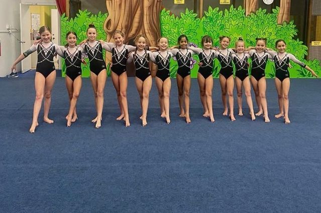 JLF Elite competitive team lined up in the gym in matching leotards